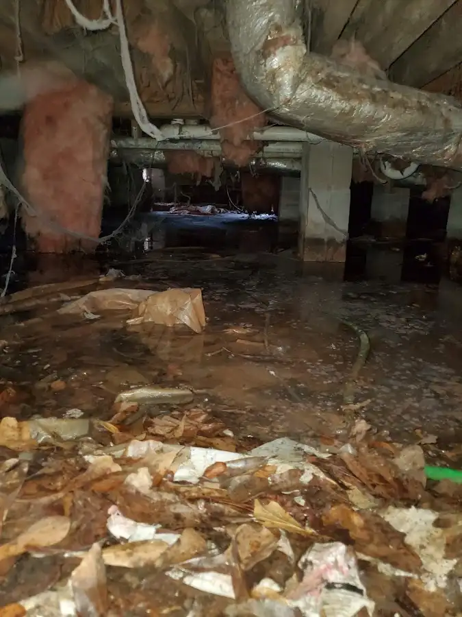 Crawl space flood assessment for Commercial Water Damage Restoration in Canutillo