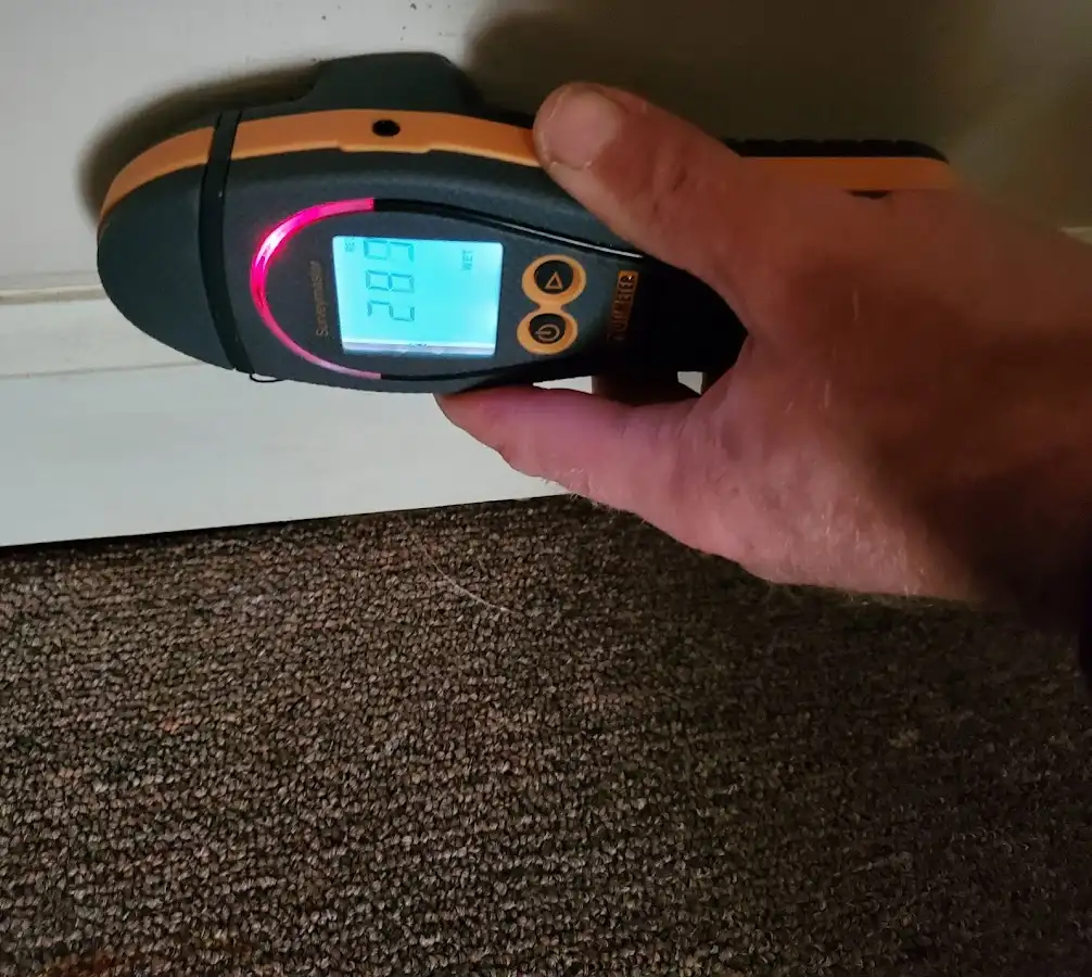 Moisture detection at baseboard during Mold Inspection & Testing in Canutillo